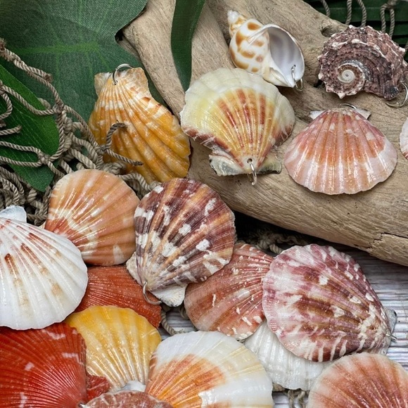 15 REAL SEASHELLS CHARMS PENDANTS w 15 JUMP RINGS FOR CRAFTING & JEWELRY MAKING - Picture 2 of 13